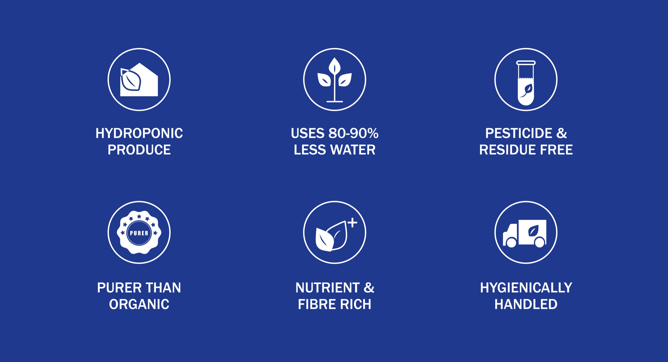 Stemwater Farms brand elements