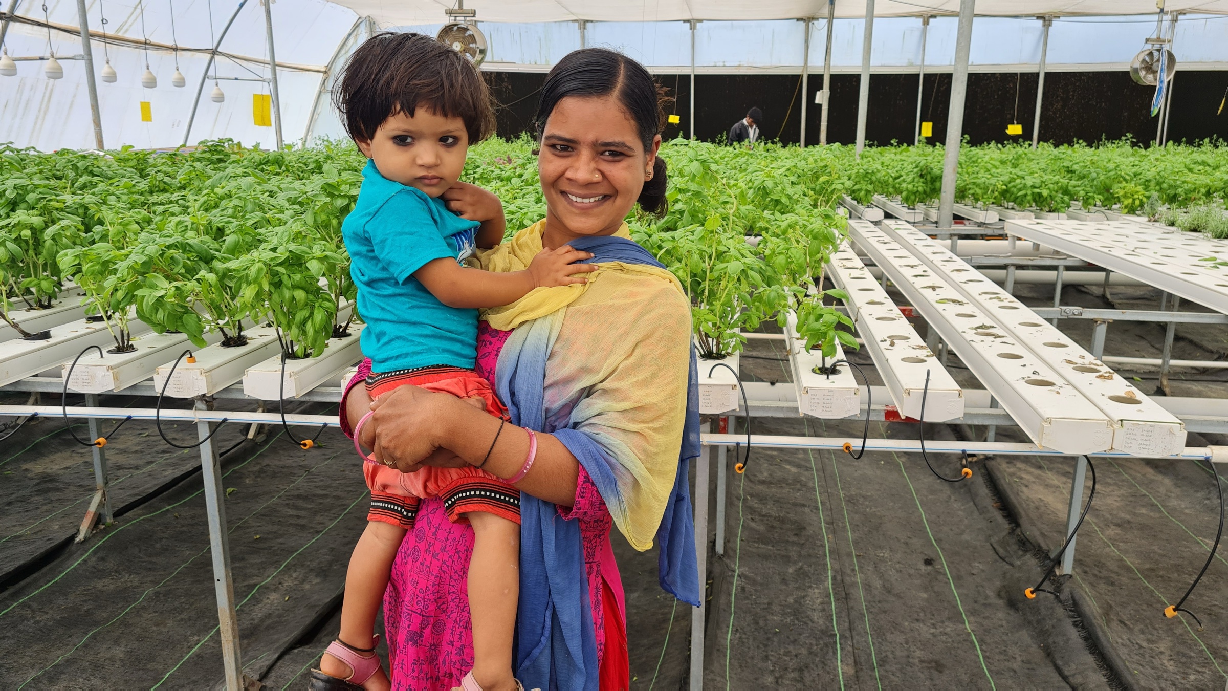 Farm 4