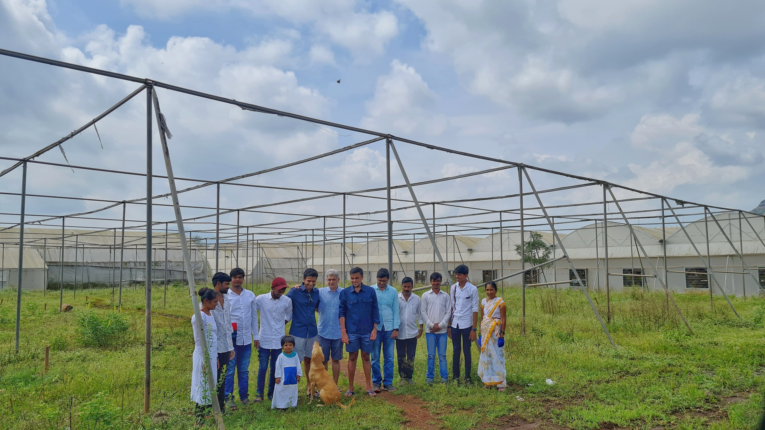 Farm 8