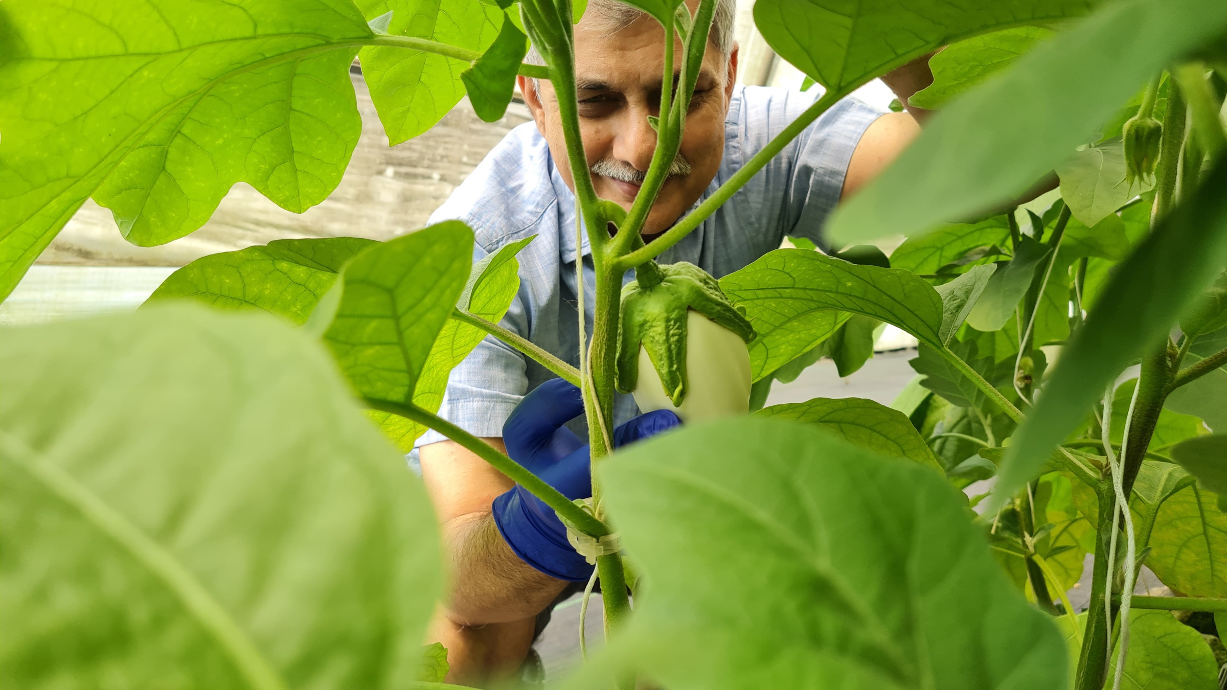 Stemwater Farms hero image