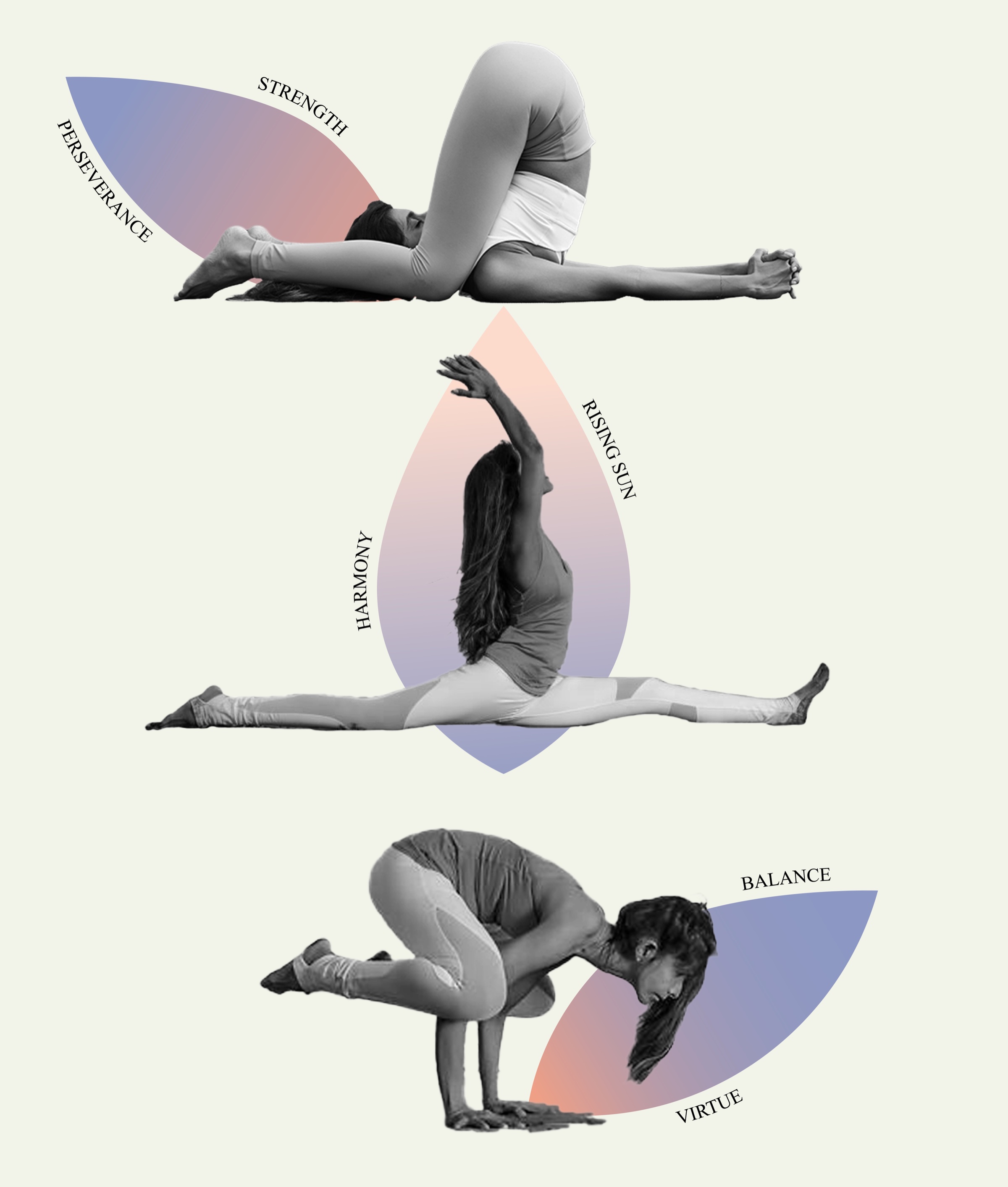 Yoga with Anchal brand color palette